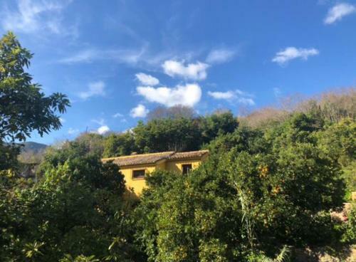 El Capricho De Almadan