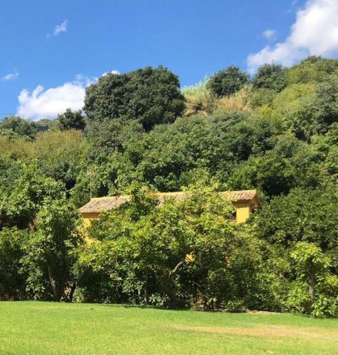 El Capricho De Almadan