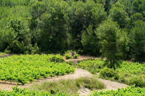 Apartamento Masia Pou De La Vinya