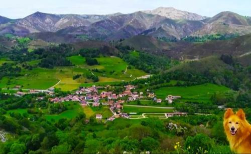Agroturismo Casa Rural El Campu