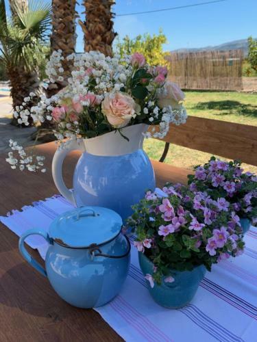 Bed & Breakfast Casa Alestelou