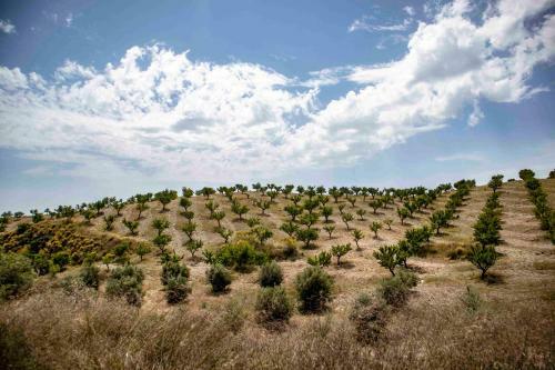 Agroturismo Caser�o Lo Bulle