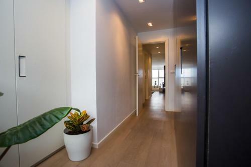 Apartamento Orio Playa Lucir�