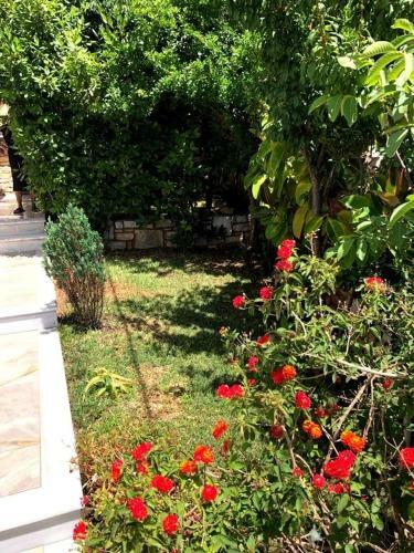 Hostal Spyridoula's Guest House