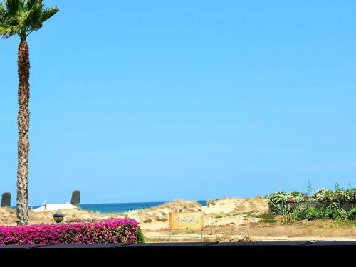 Apartamento Con Piscina Frente Al Mar. Oliva Nova