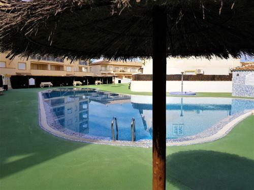 Apartamento Con Piscina Frente Al Mar. Oliva Nova