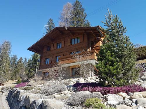 Apartamento Chalet Gr�neggli