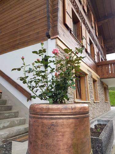 Apartamento Chalet Gr�neggli