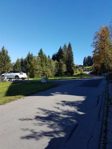 Apartamento Chalet Gr�neggli