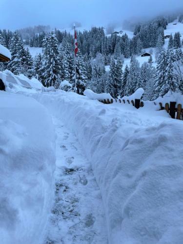 Apartamento Gassi 4 Adelboden
