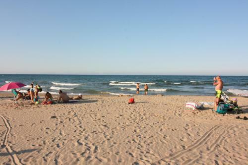 Oliva Holidays 4
