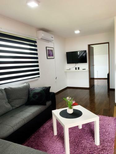 Modern Apartment