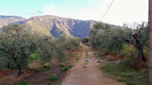 Hostal Gateway To The Alpujarras, 'cortijo Derry'