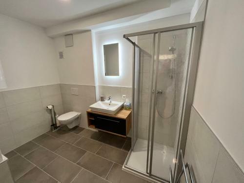 Neues Traunsee Apartment Altm�nster