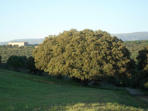 Agroturismo La Casa De La Abuela