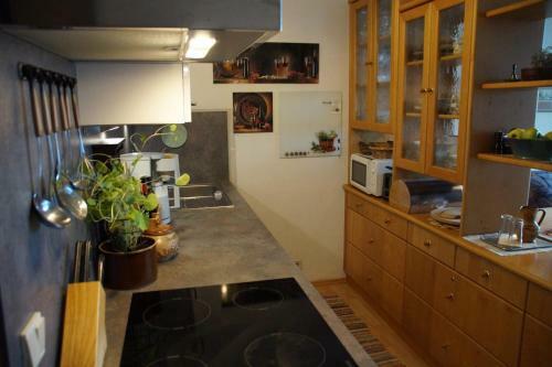 Apartment Im Hocheck