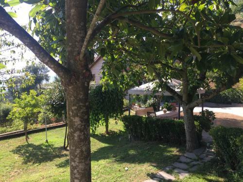 Chalet O B�tanico