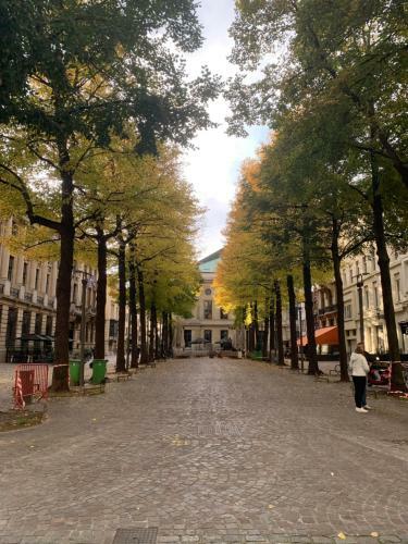 Apartamento Arizona Smartflat - Central Antwerp