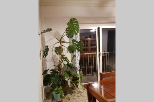 Downtown Apartment (125 M�)