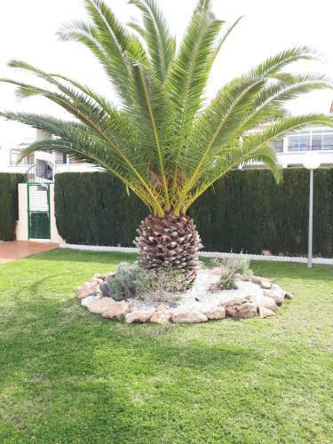 Apartamento Spanische Bungalow In Kurort