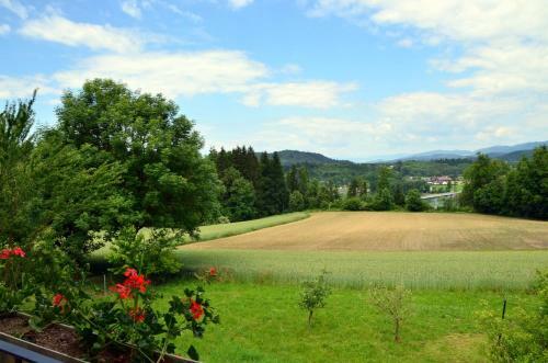 Agroturismo Erlebnisbauernhof Pension Waschnig