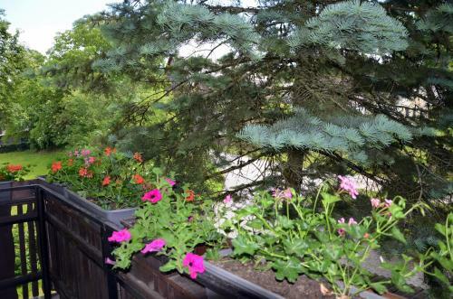 Agroturismo Erlebnisbauernhof Pension Waschnig