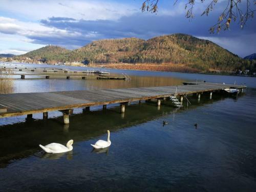 Agroturismo Erlebnisbauernhof Urak