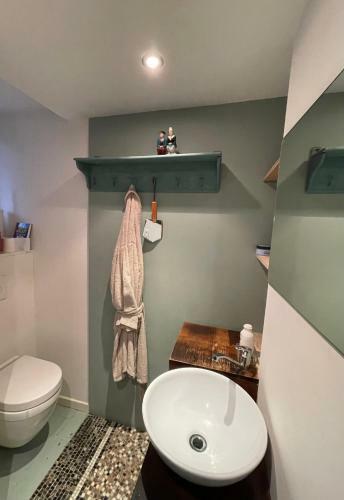 Apartamento Studio Dageraad