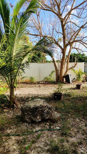 Acogedor Estudio Privado