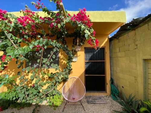 Apartamento Jungla Bacalar/ Casa Jaguar