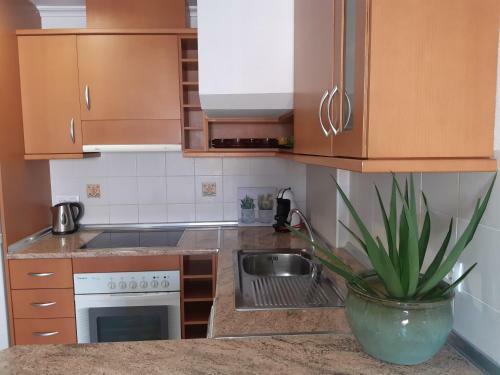 Apartamento Romero Cabo Roig, Sol�rium Opcional
