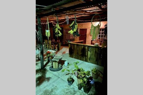 Apartamento Casa Venado, By Jungla Bacalar
