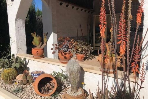 Villa Finca In De Natuur