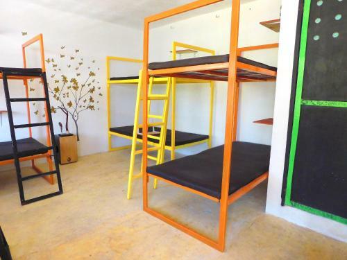 Chakpool Hostal & Camping