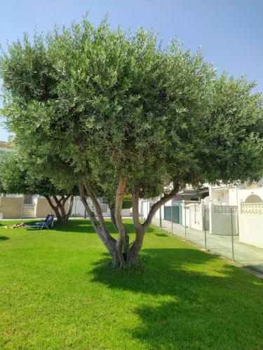 Apartamento Casa Oliva, La Florida