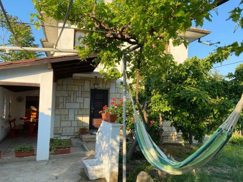 Sunny House