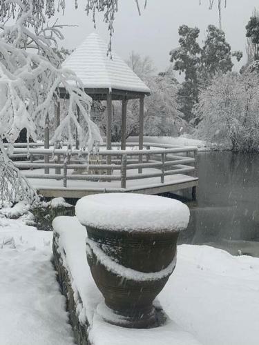 Greywoods: The Hamptons Of Daylesford