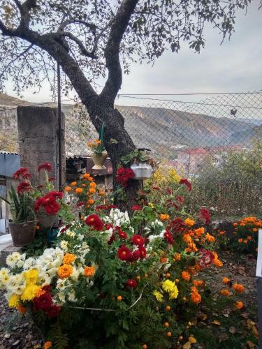 Hostal Nnn Guest House