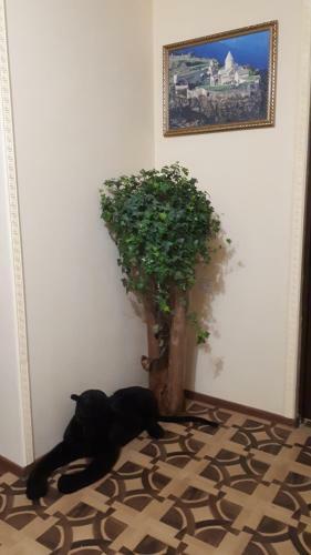 Bed & Breakfast Hotel Forest Sounds