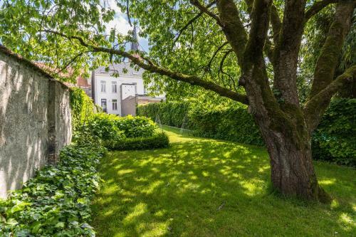 Vakantiehuis Casabelle 19