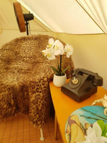 The Luxury Honolulu With Private Bar At Paradise Valley Glamping