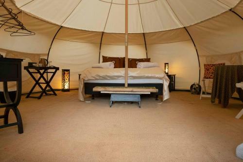 The Primrose At Paradise Valley Glamping