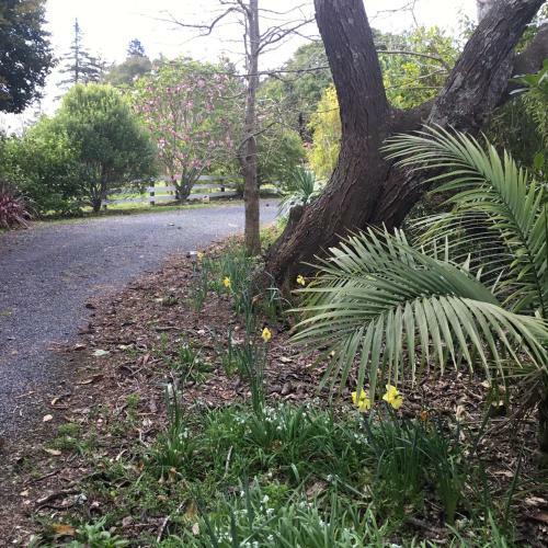 Pa Road B&B Kerikeri Nz