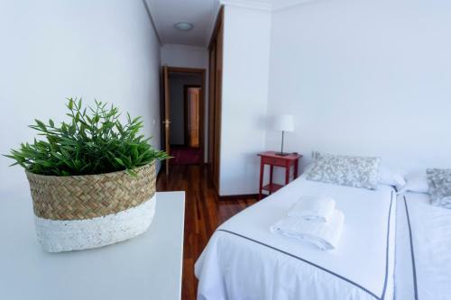 Apartamento El Campo De Los Patos