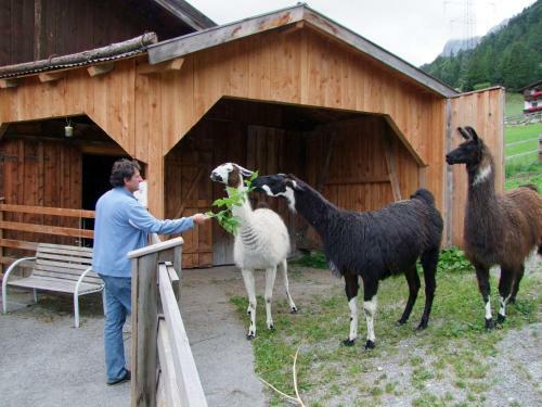 Hotel-gasthof Freisleben