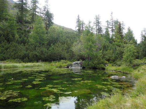 Apartamento Ganderhof