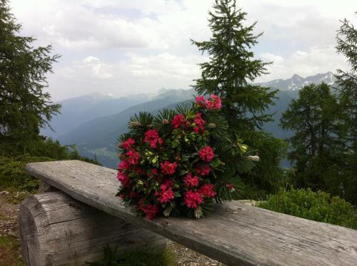 Hostal Gasthof Venetrast