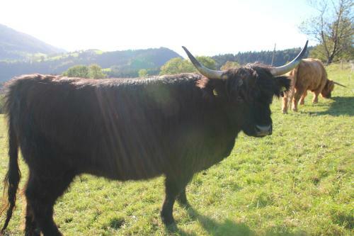 Agroturismo Hirmhof