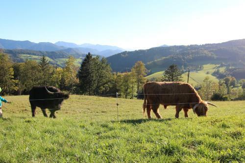 Agroturismo Hirmhof