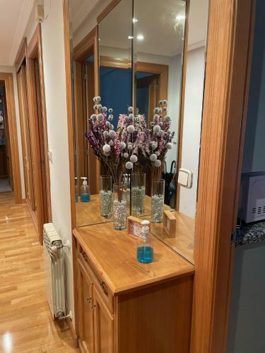 Apartamento Paseo De La Losa